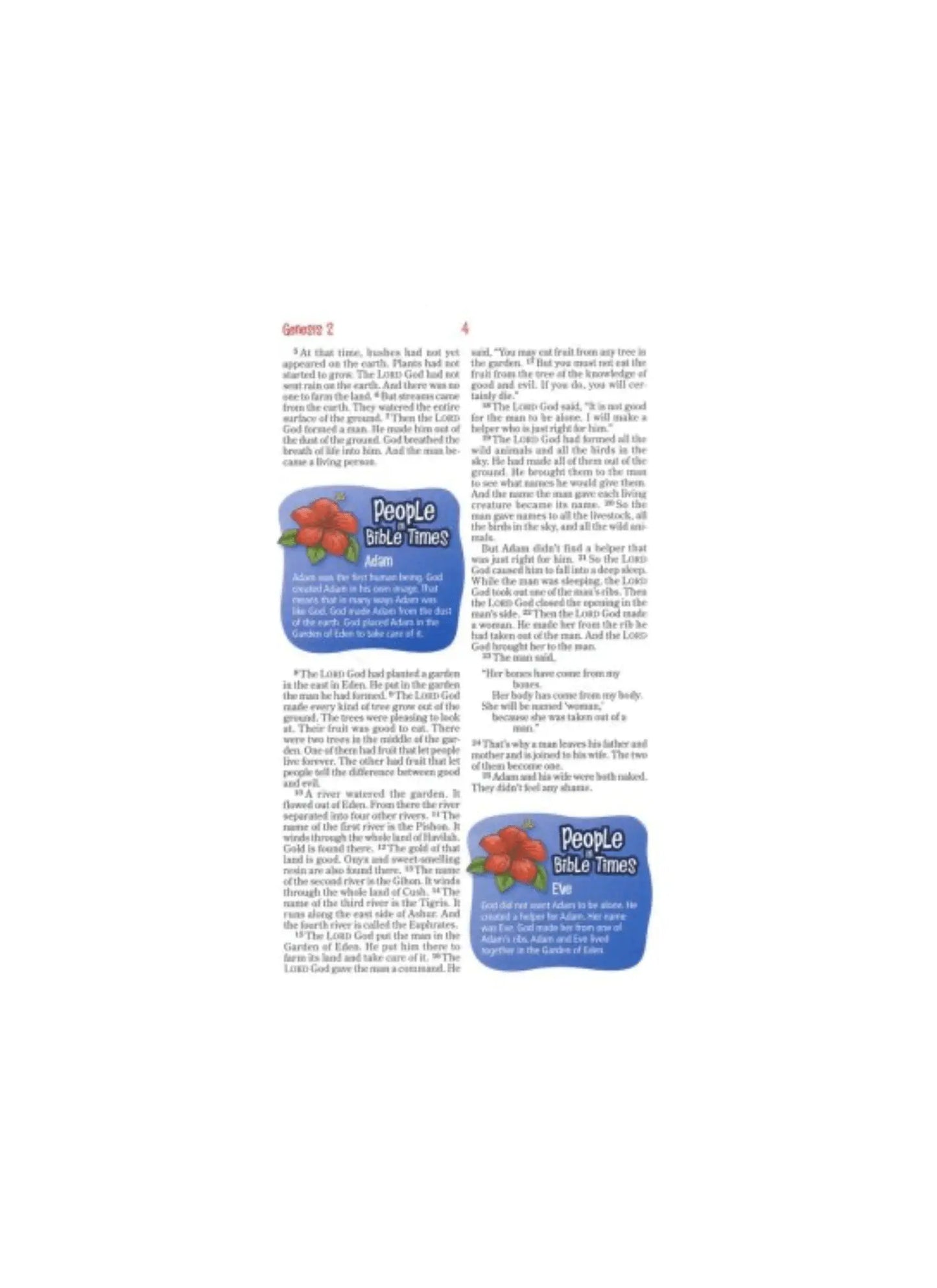 NIrV Adventure Bible for Early Readers | Hardcover, Jacketed