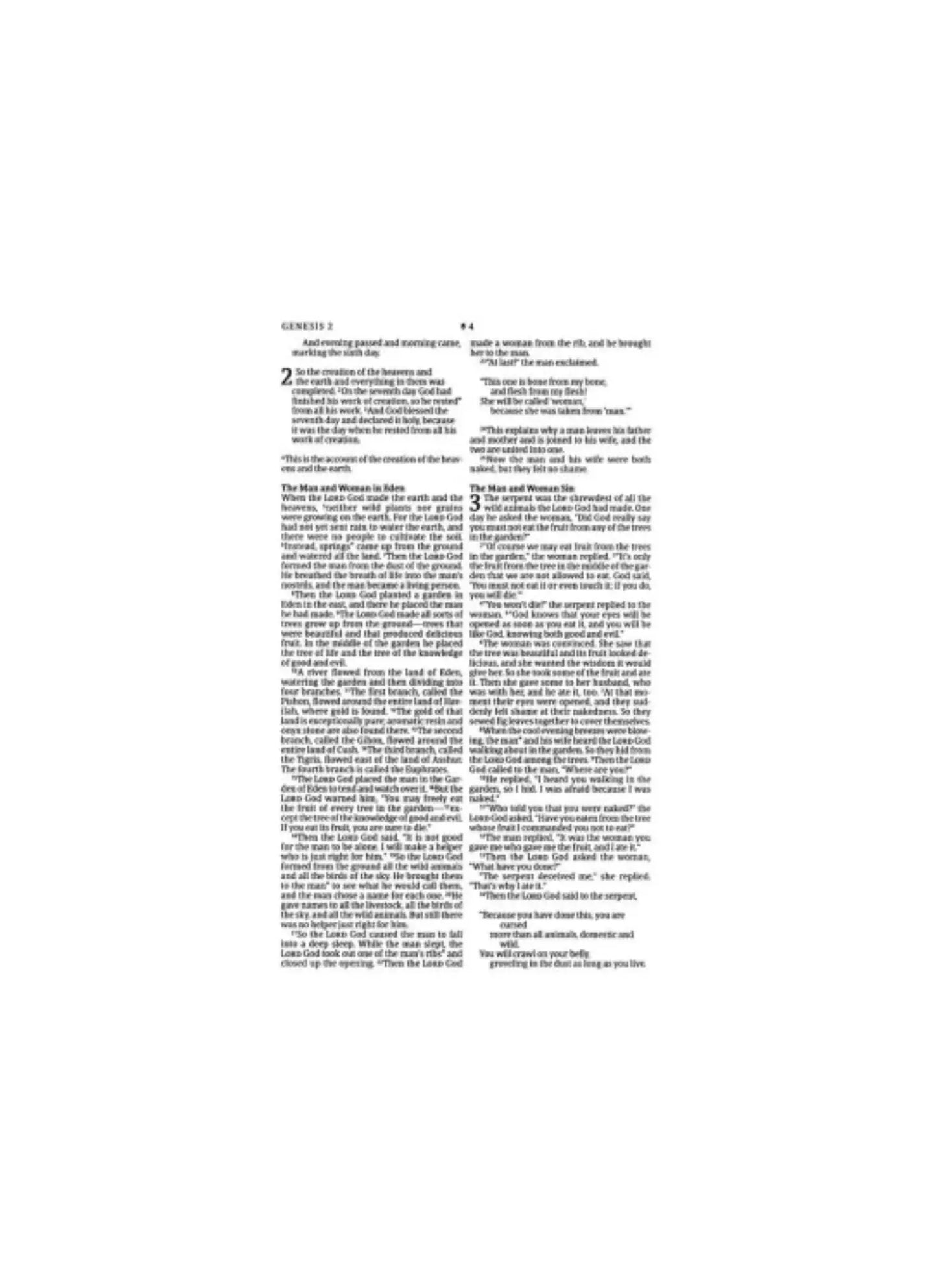 NLT Premium Value Thinline Bible, Filament-Enabled | Soft leather pink vines