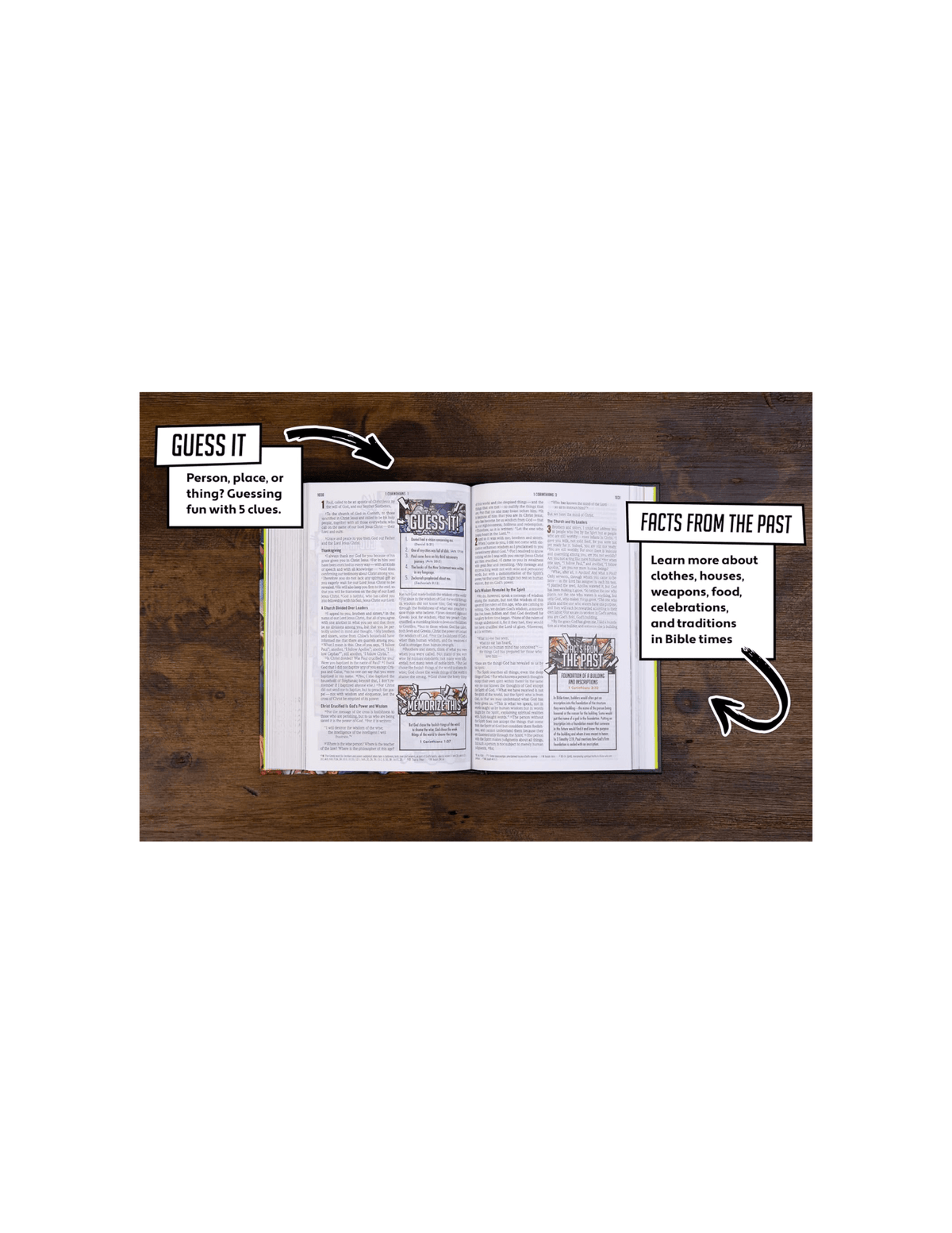 The Action Study Bible