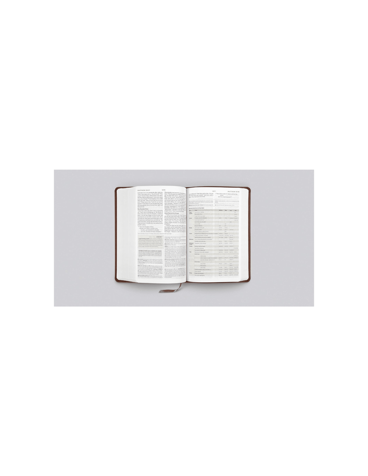 ESV Student Study Bible, TruTone, Chestnut