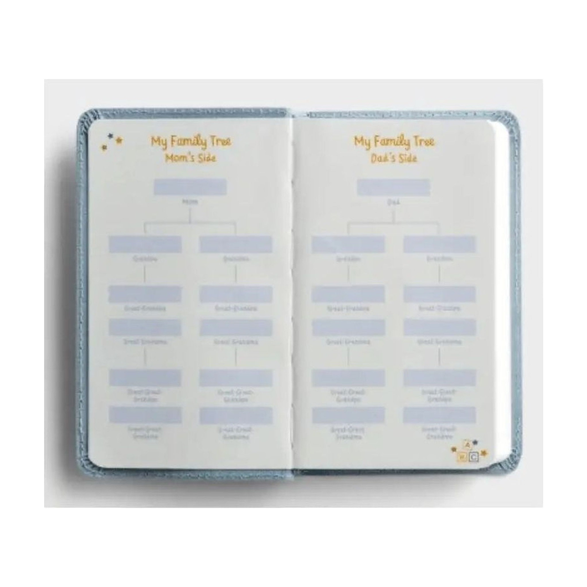 Wonderfully Made: Baby Boy's First Bible