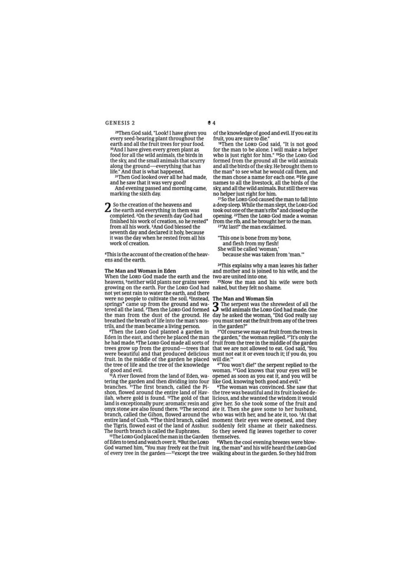 NLT Large Print Premium Value Thinline Bible, Filament Enabled Edition | Soft leather pink
