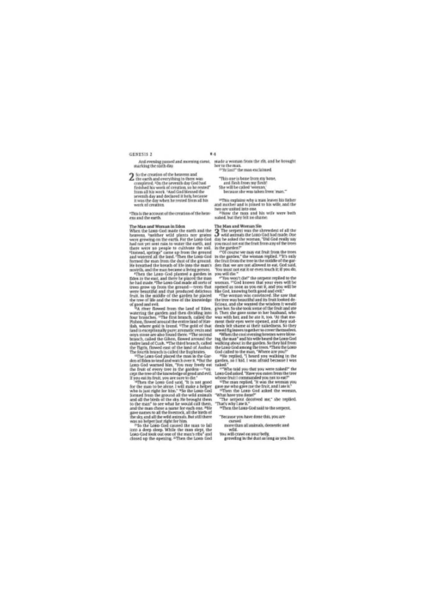 NLT Premium Value Thinline Bible, Filament-Enabled | Soft leather black
