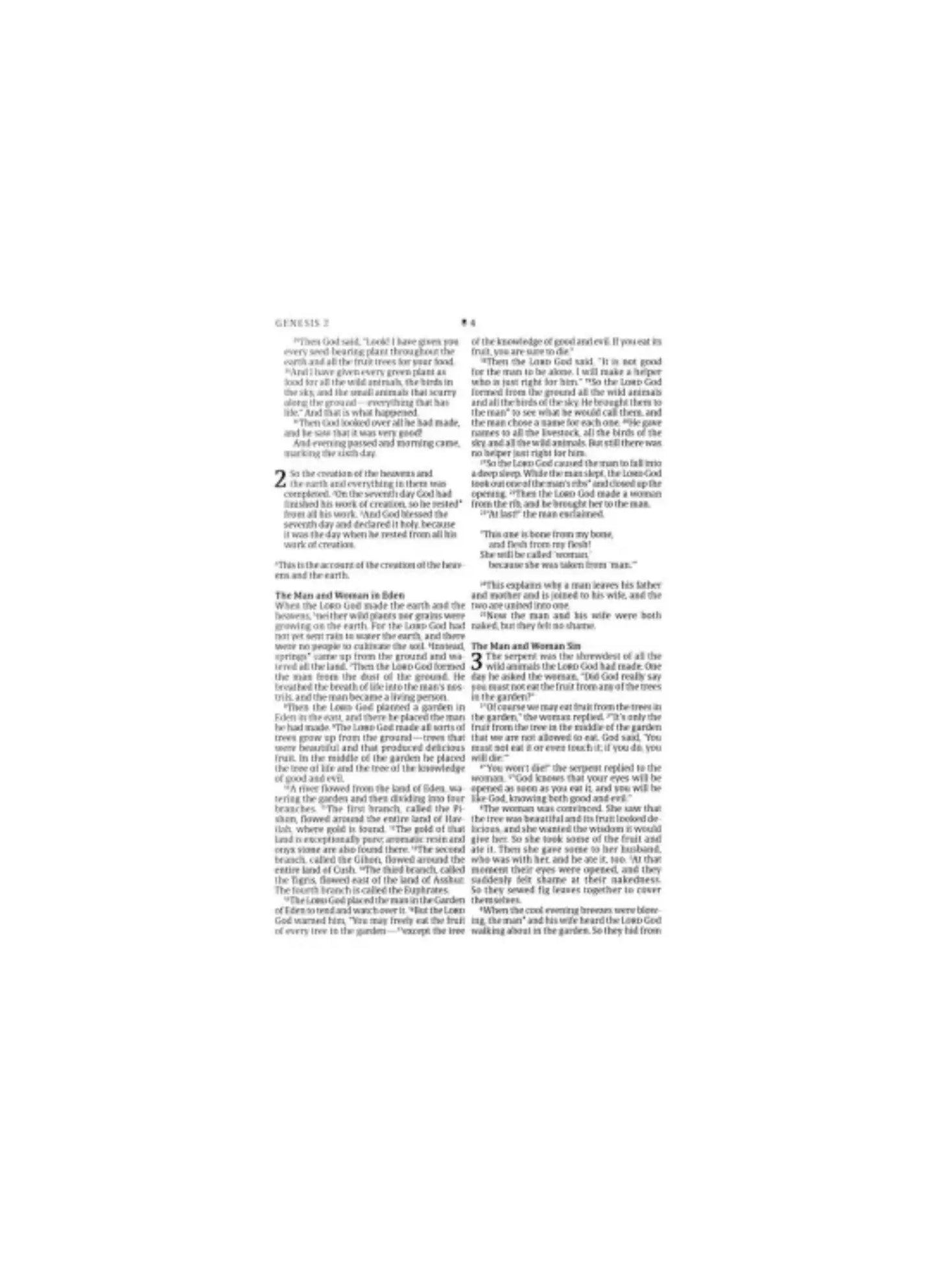 NLT Premium Value Thinline Bible, Large Print, Filament-Enabled | Soft leather black