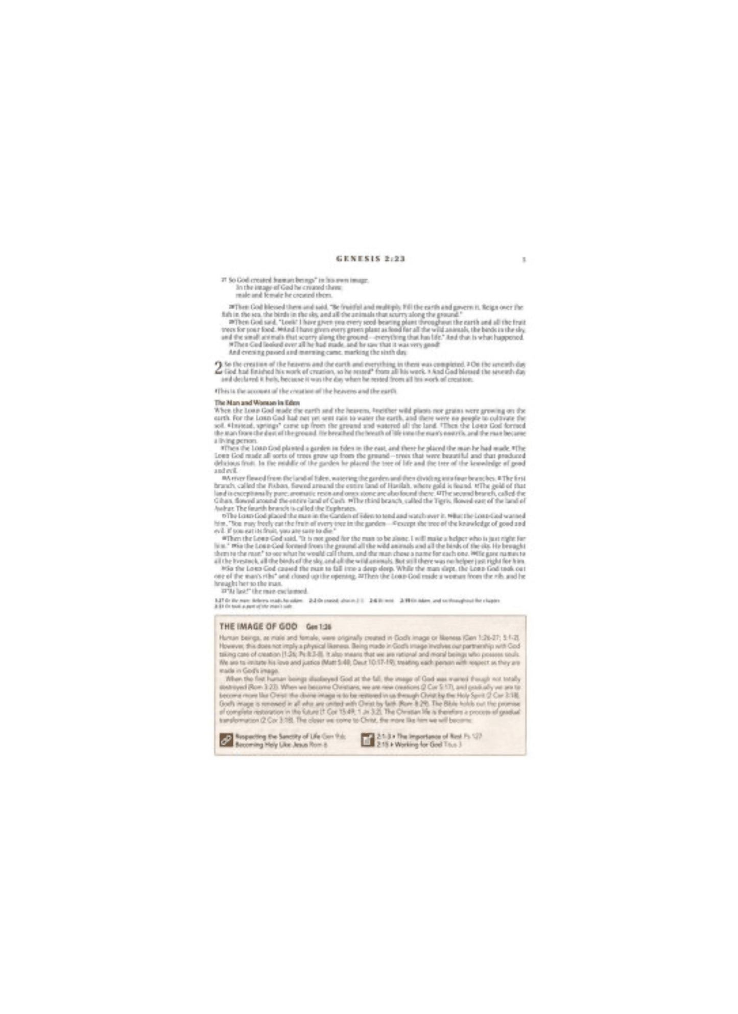 NLT Spiritual Growth Bible | Soft leather floral with embroidery