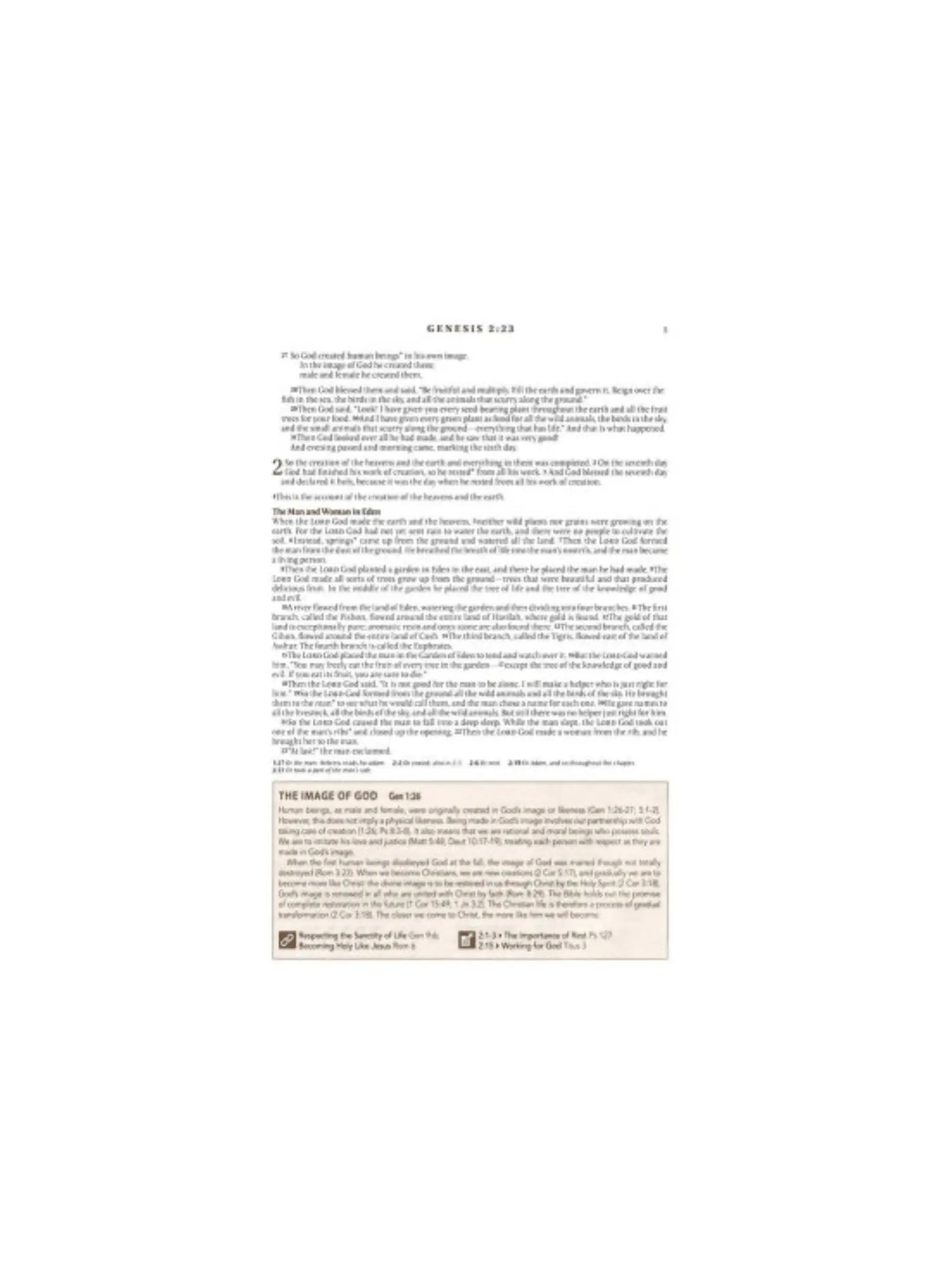 NLT Spiritual Growth Bible | Soft leather floral with embroidery