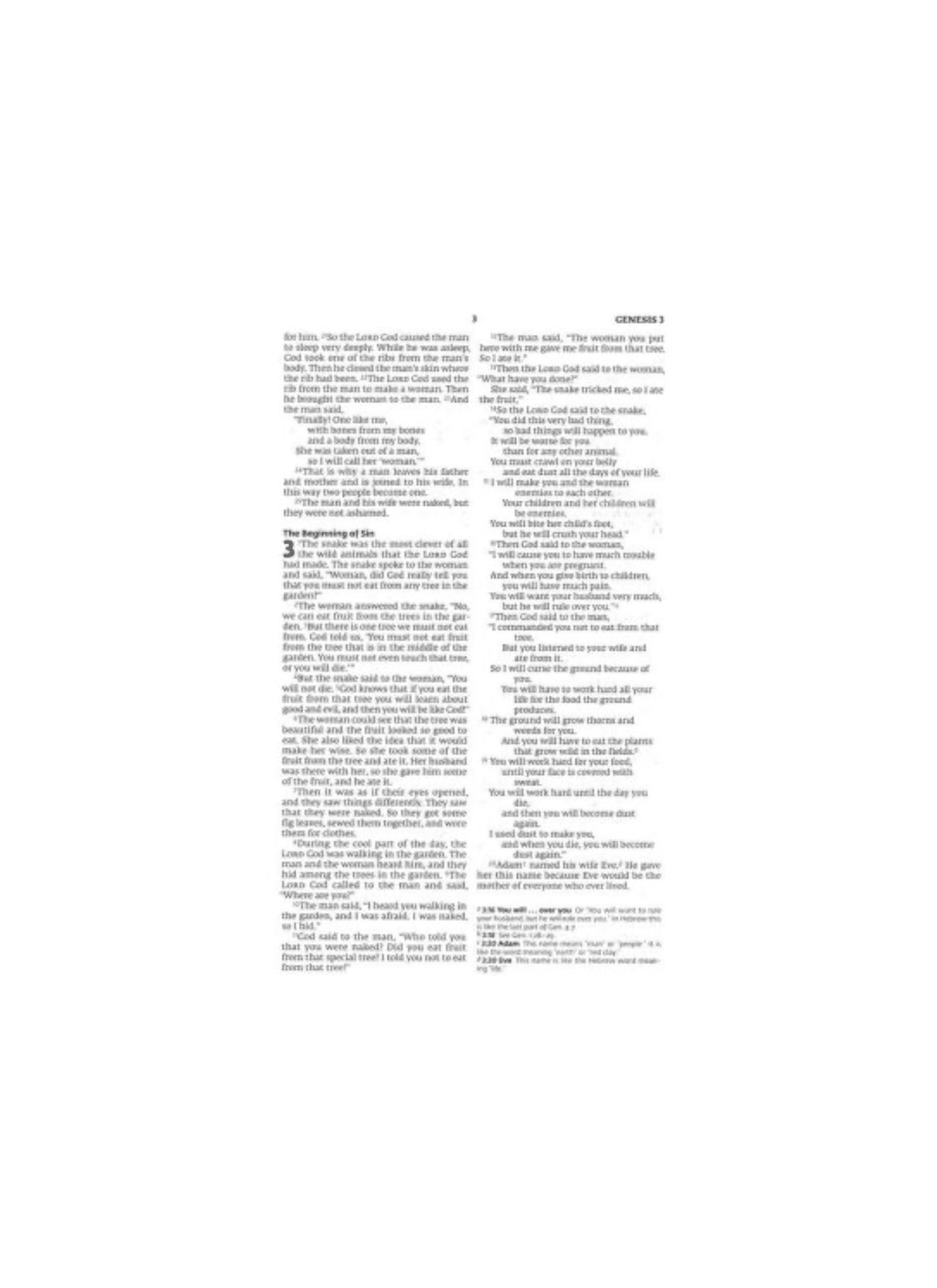 Holy Bible Easy to Read Version (ERV) | Green/Tan