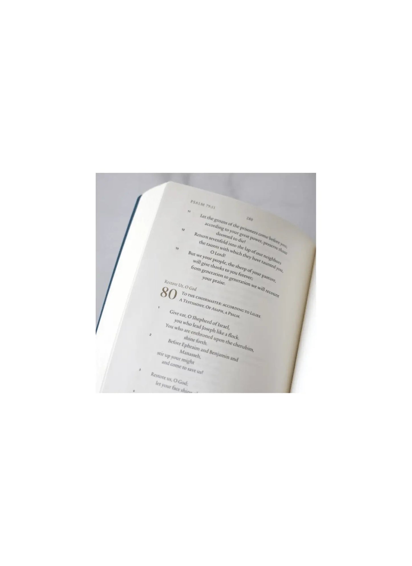 Psalms ESV Illuminated Scripture Journal