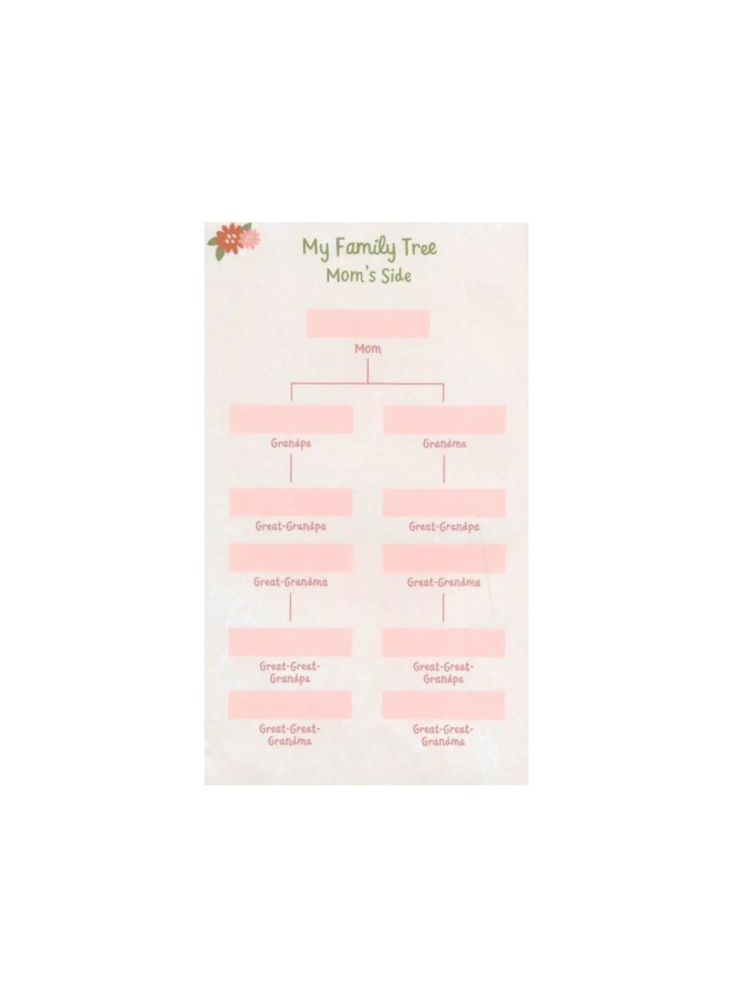 Wonderfully Made: Baby Girl's First Bible