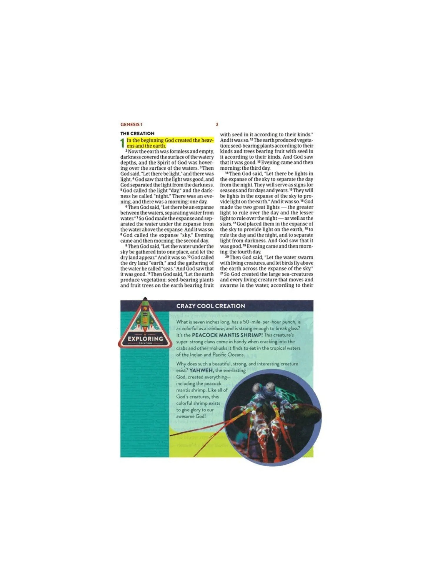 CSB Explorer Bible for Kids | Hardcover