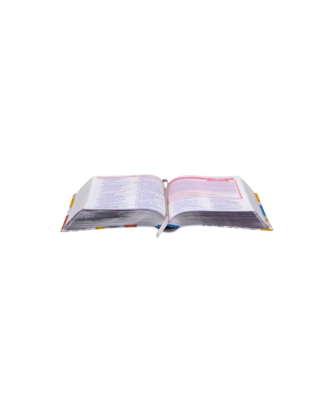 Bíblia Sagrada Entre Meninas e Deus | NTLH | Letra Normal | Capa Luxo Magnólia