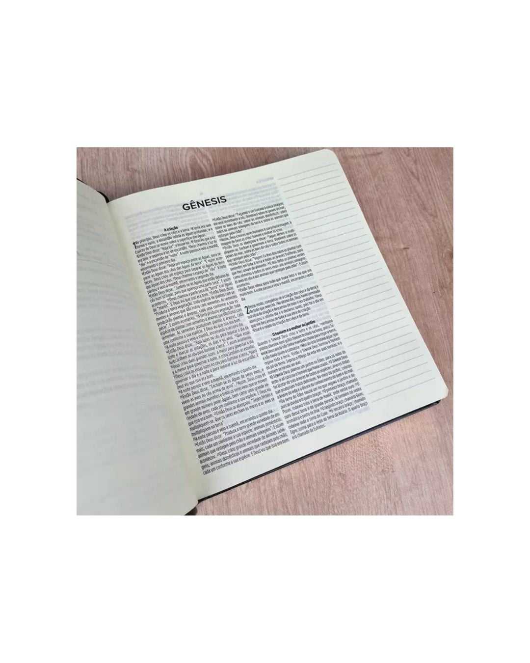 Biblia Sagrada Leia e Anote/NVT/Capa luxo preta