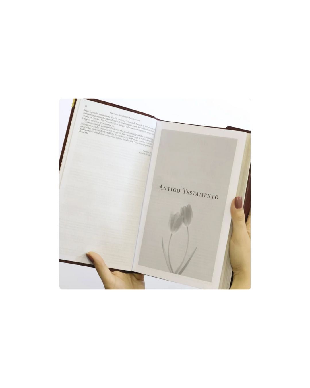 Bíblia Da Mulher De Fé | NVI | Letra Grande | Courosoft Vinho Com Fechamento Carteira
