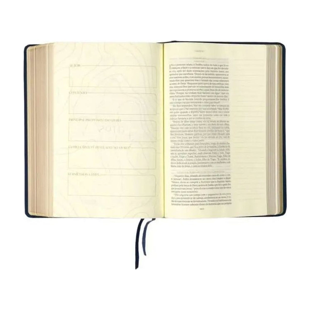 Bíblia The Purpose Book | A21 | Letra Normal | Espaço Para Anotações | Capa Tecido Azul Reino