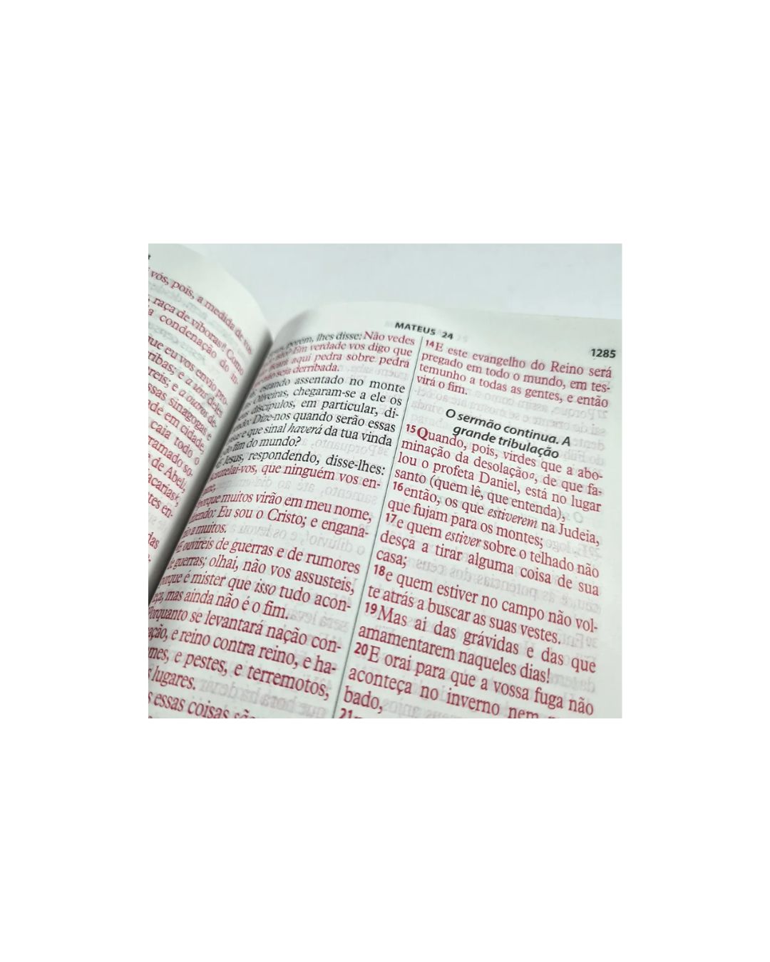 Biblia Da Mulher Vitoriosa | Letra Gigante| ARC | Dourada