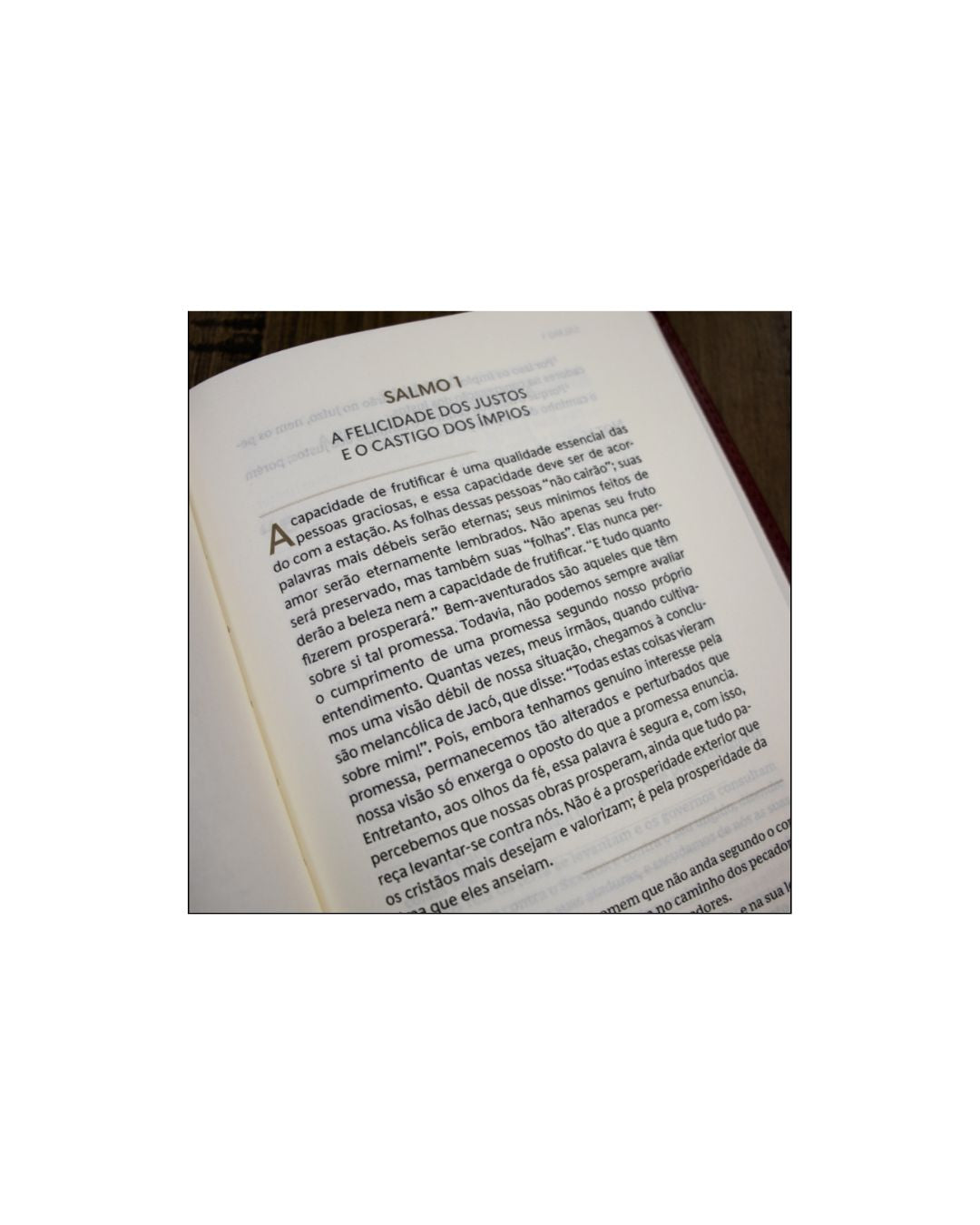 Devocional Spurgeon e os Salmos | Capa Courosoft Vermelha