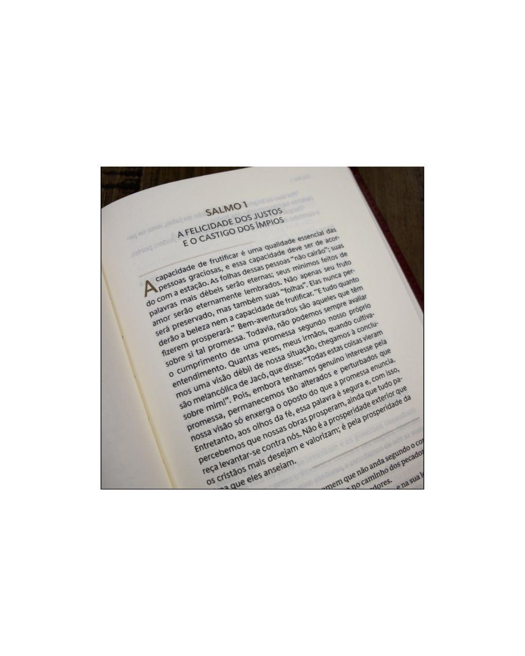 Devocional Spurgeon e os Salmos | Capa Courosoft Vermelha