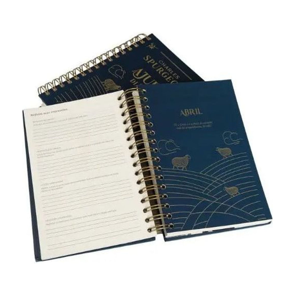 Ajuda Diária – Journal Devocional com Ferramentas Espirituais por Charles Spurgeon | Abba Church Marlboro