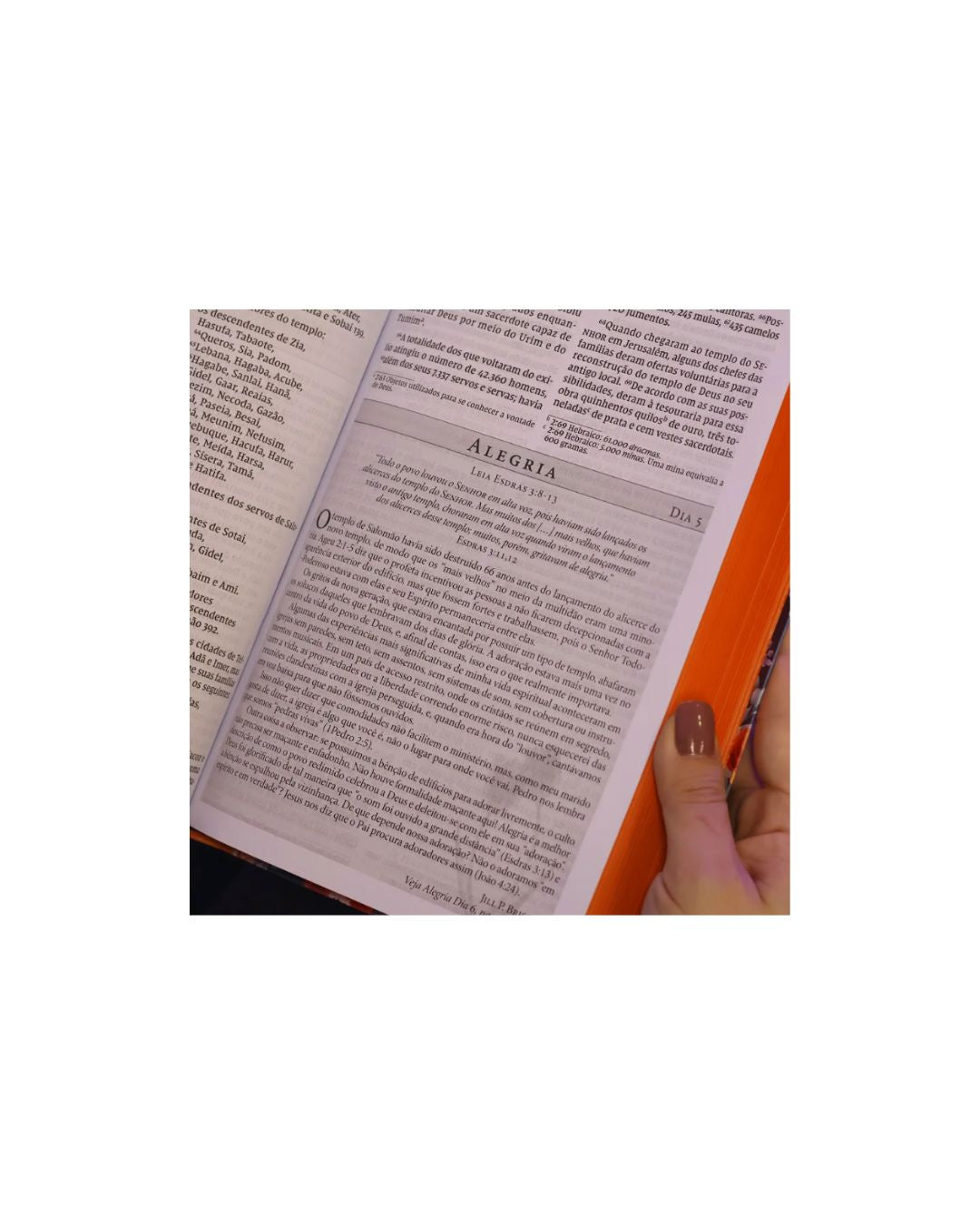 Bíblia da Mulher de Fé | NVI | Letra Grande | Capa Couro Soft Flor