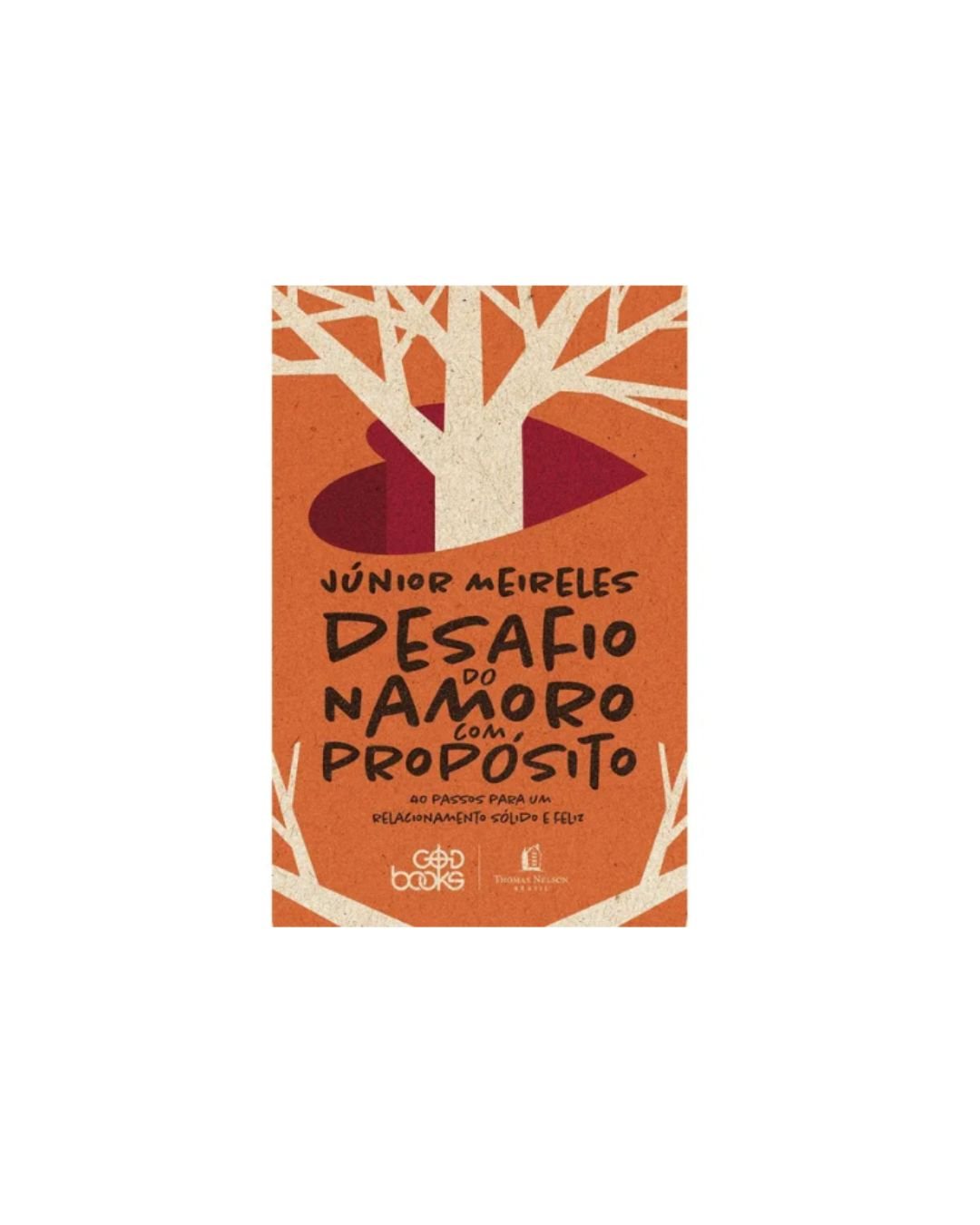 Desafio do Namoro com Proposito | Junior Meireles