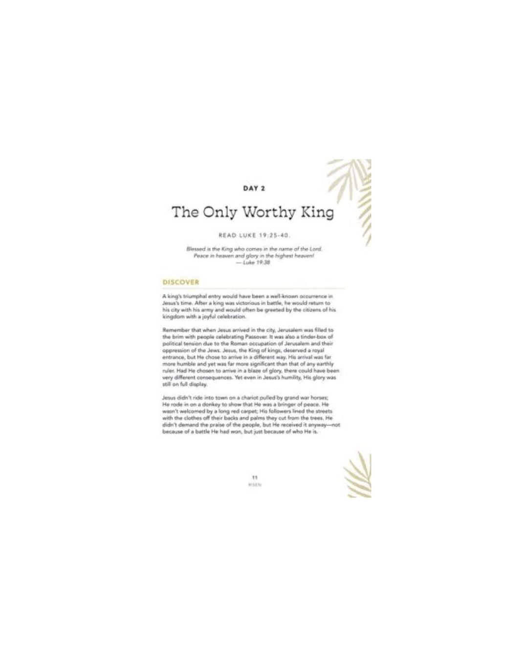 Risen - Teen Devotional: The Story of the Resurrection