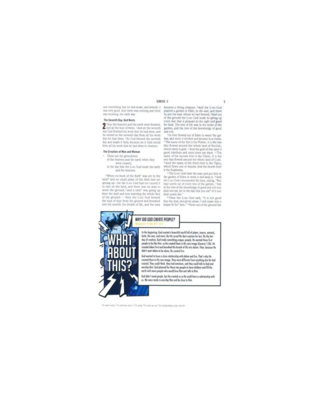 Action Study Bible | Pink
