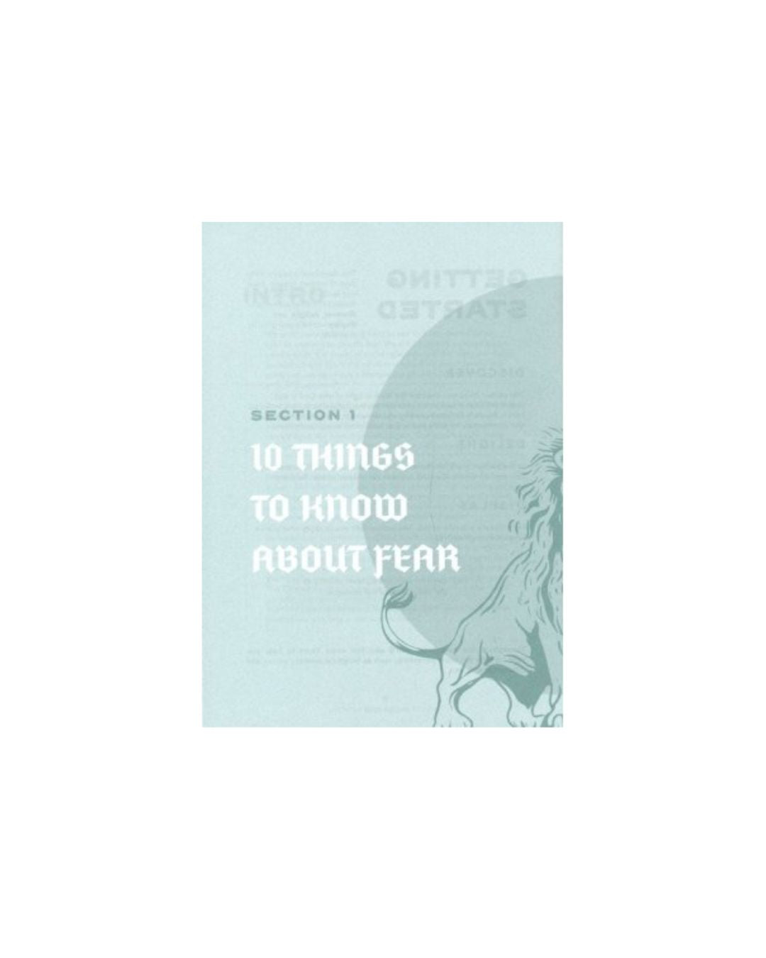 Facing Fear - Teen Devotional: Finding Refuge in the God of Peace