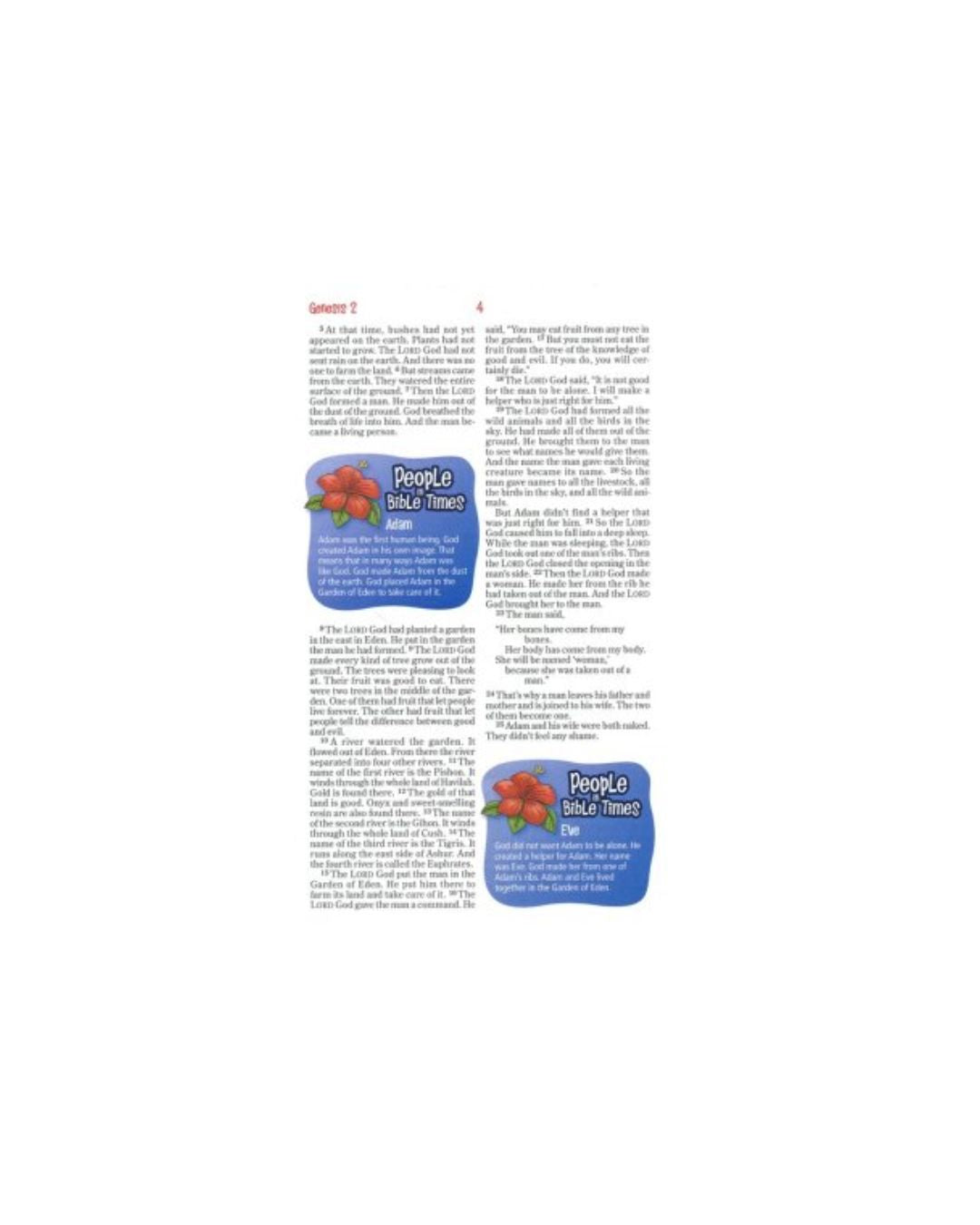 NirV Adventure Bible for Early Readers, Italian Duo-Tone, Jungle Green/Lawrence O. Richards
