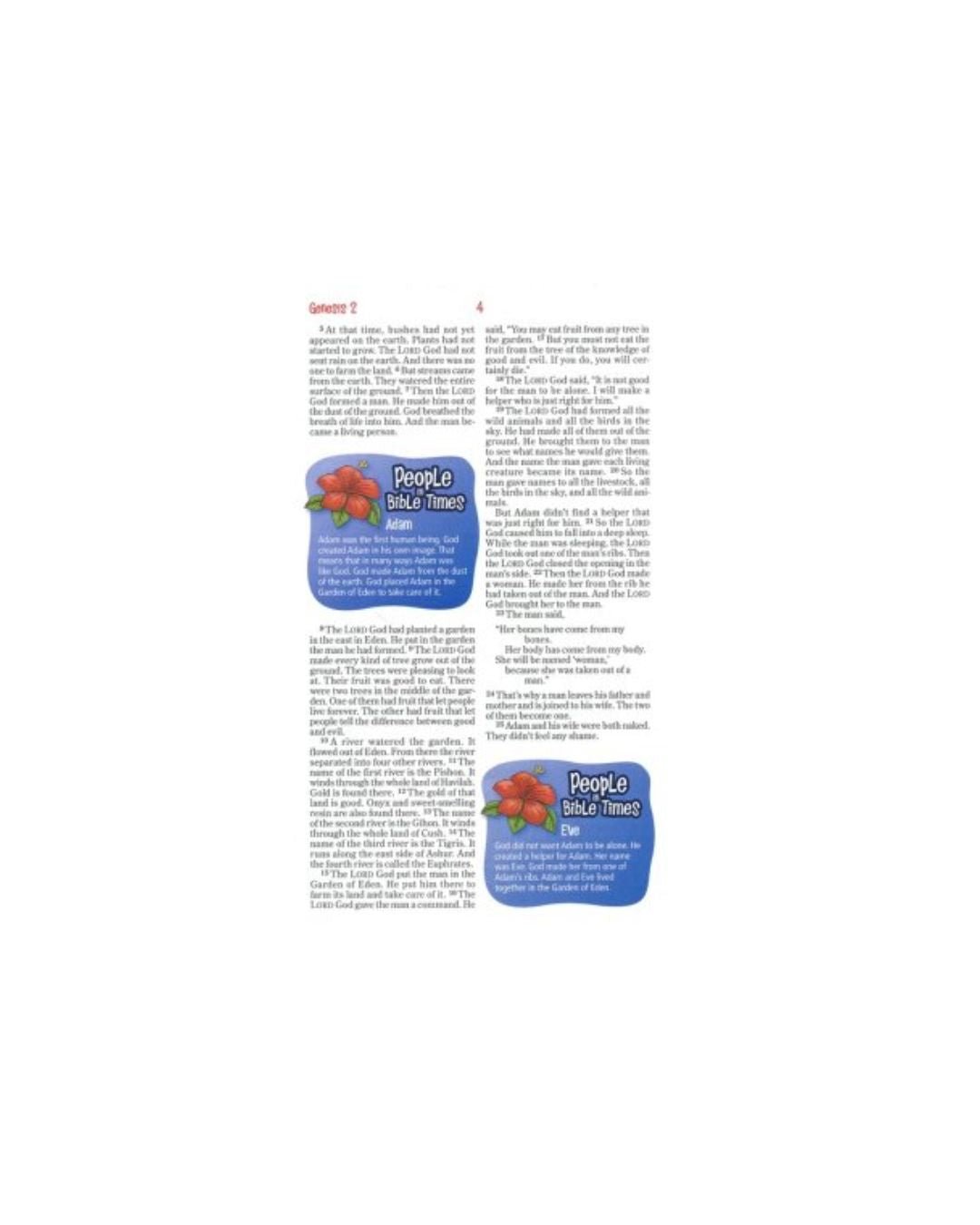 NirV Adventure Bible for Early Readers, Italian Duo-Tone, Jungle Green/Lawrence O. Richards