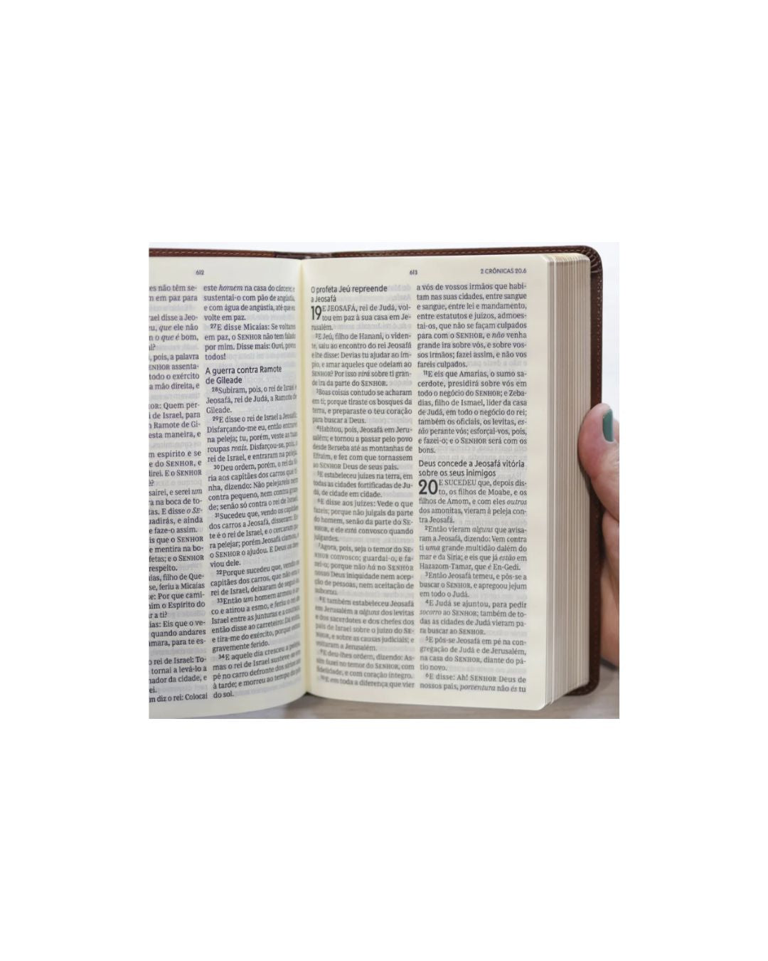 Bíblia Sagrada | ACF | Letra Grande | Couro Soft Marrom