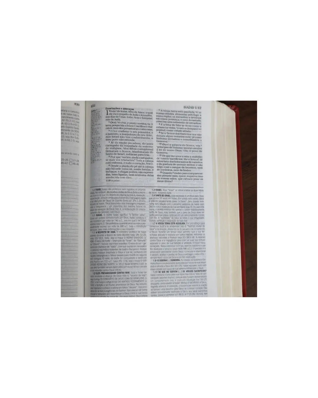 Bíblia De Estudo Pentecostal Para Jovens | ARC | Letra Média | Luxo Vinho