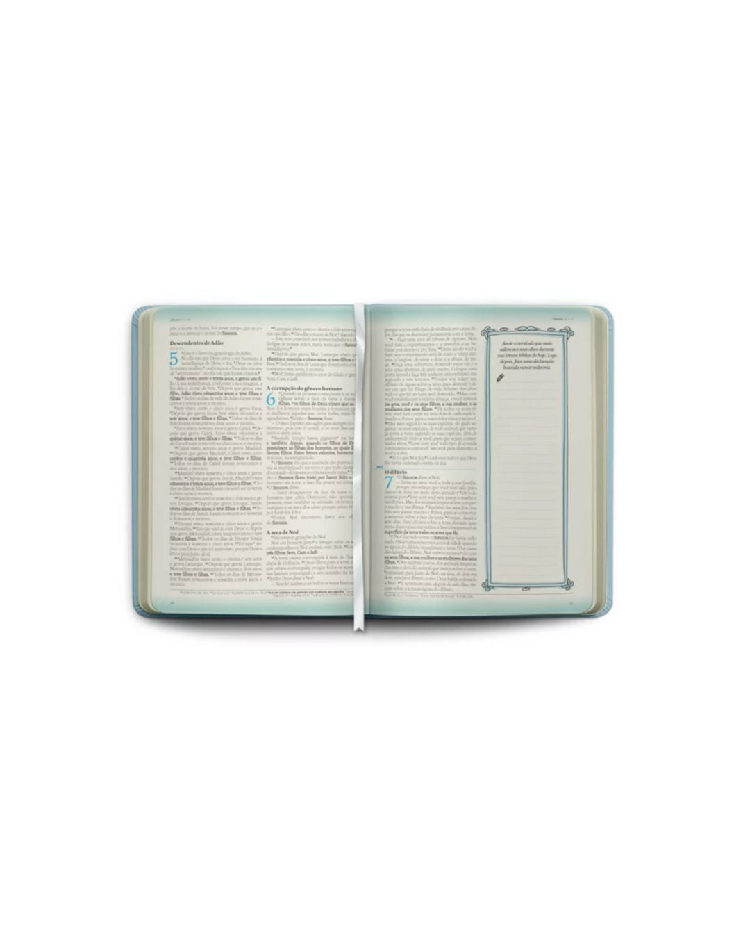 Bíblia do Secreto | NAA | Letra Normal | Capa Azul