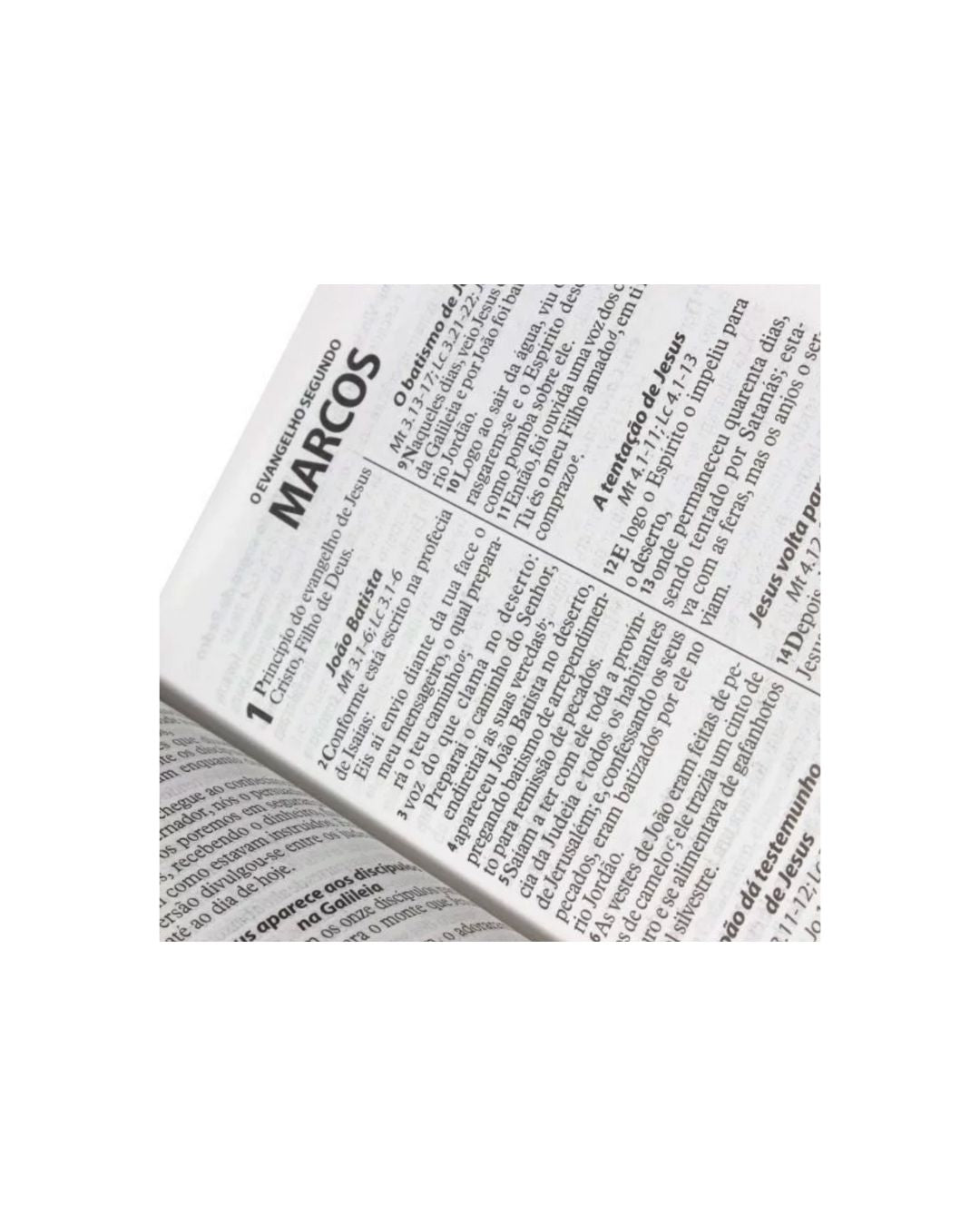 Bíblia Sagrada | Letra Gigante | ARA | Capa Rosa Nobre Luxo
