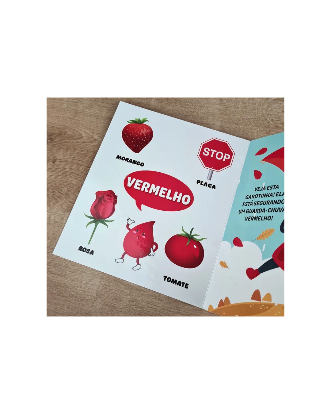 Meu Primeiro Livro | Cores