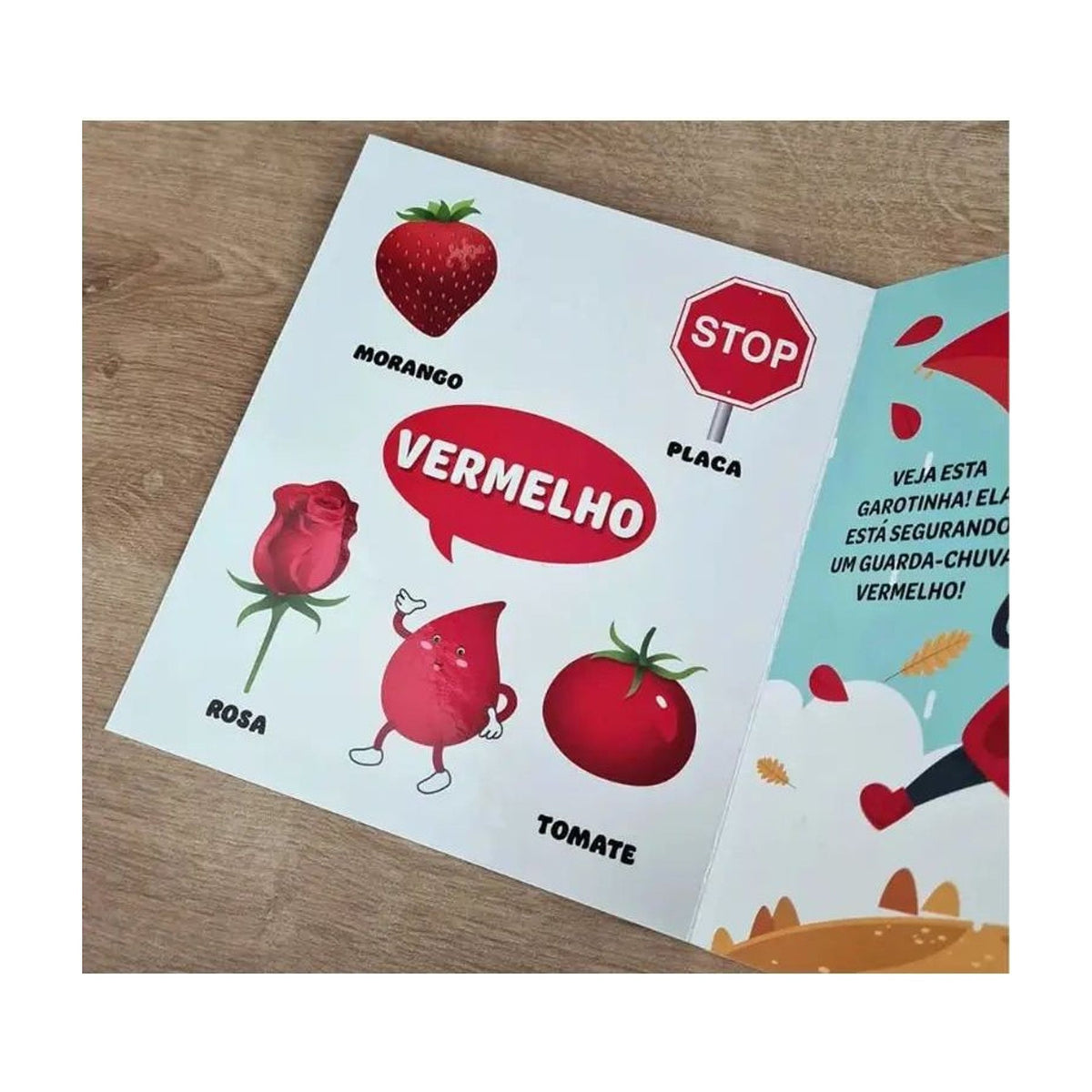 Meu Primeiro Livro | Cores