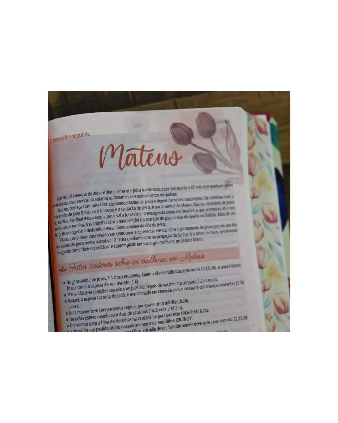 A Bíblia da Mulher | Portátil | NAA | Capa Tulipa Laranja