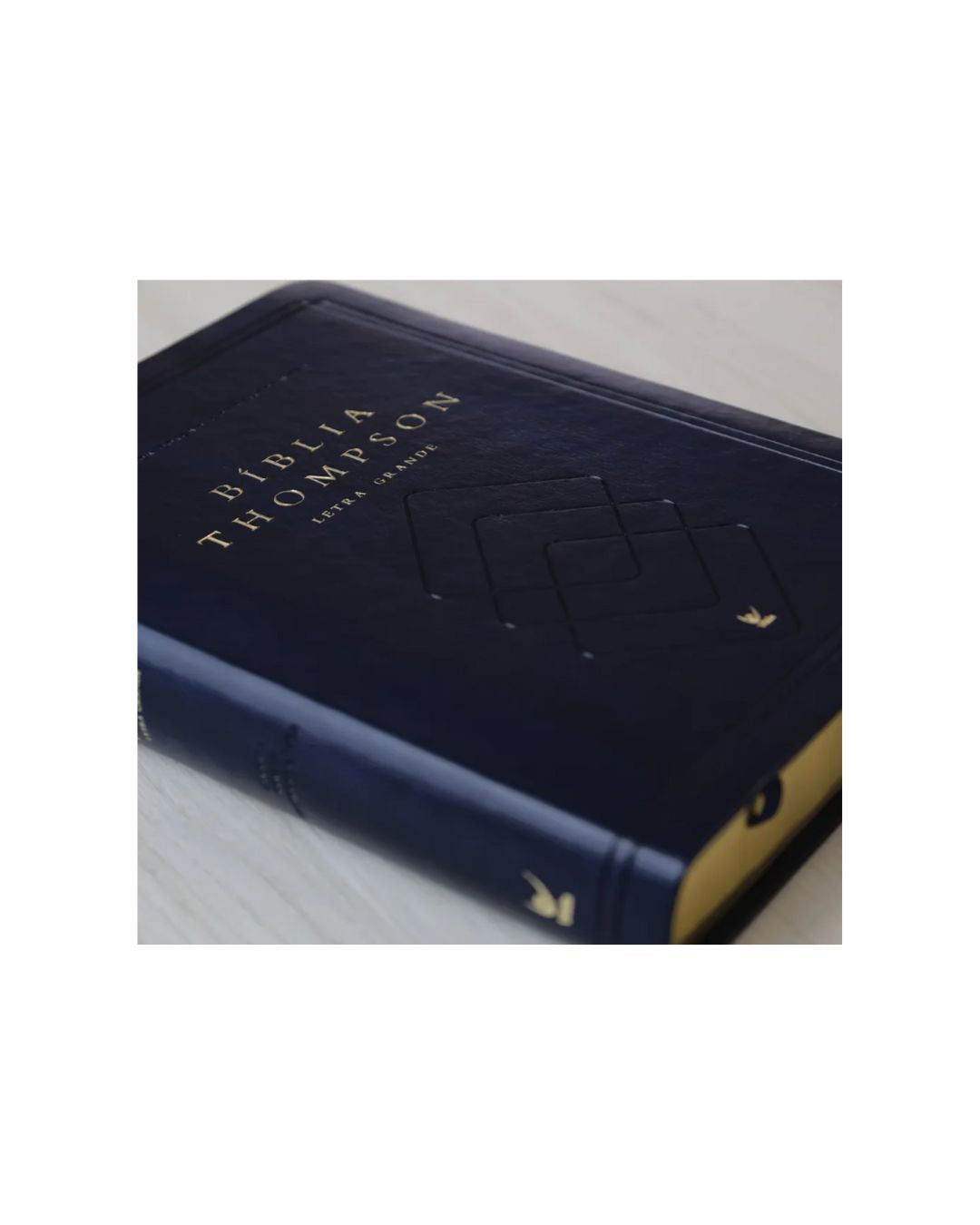 Bíblia Thompson de Estudo | AEC | Letra Grande | Capa Luxo Azul