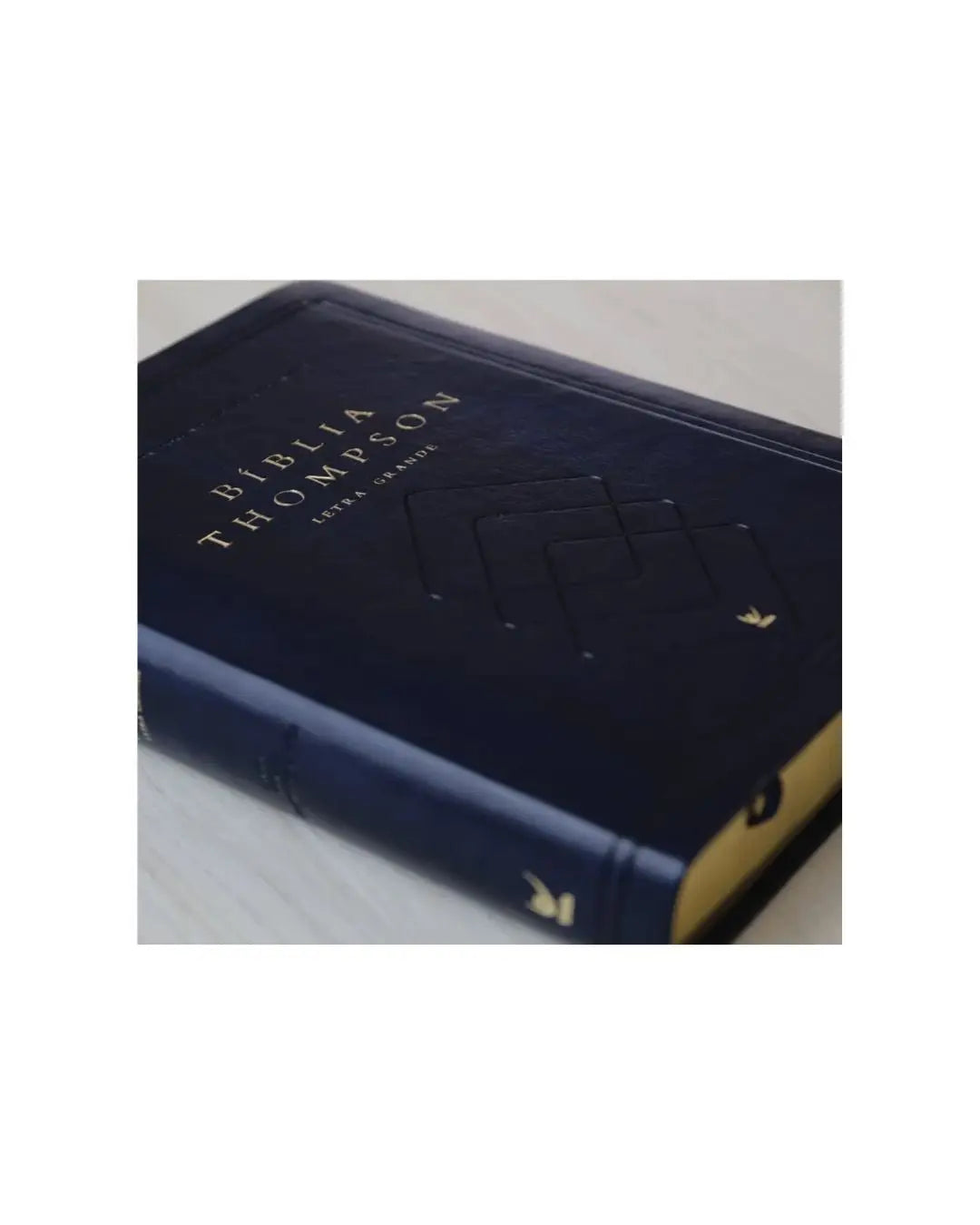 Bíblia Thompson de Estudo | AEC | Letra Grande | Capa Luxo Azul