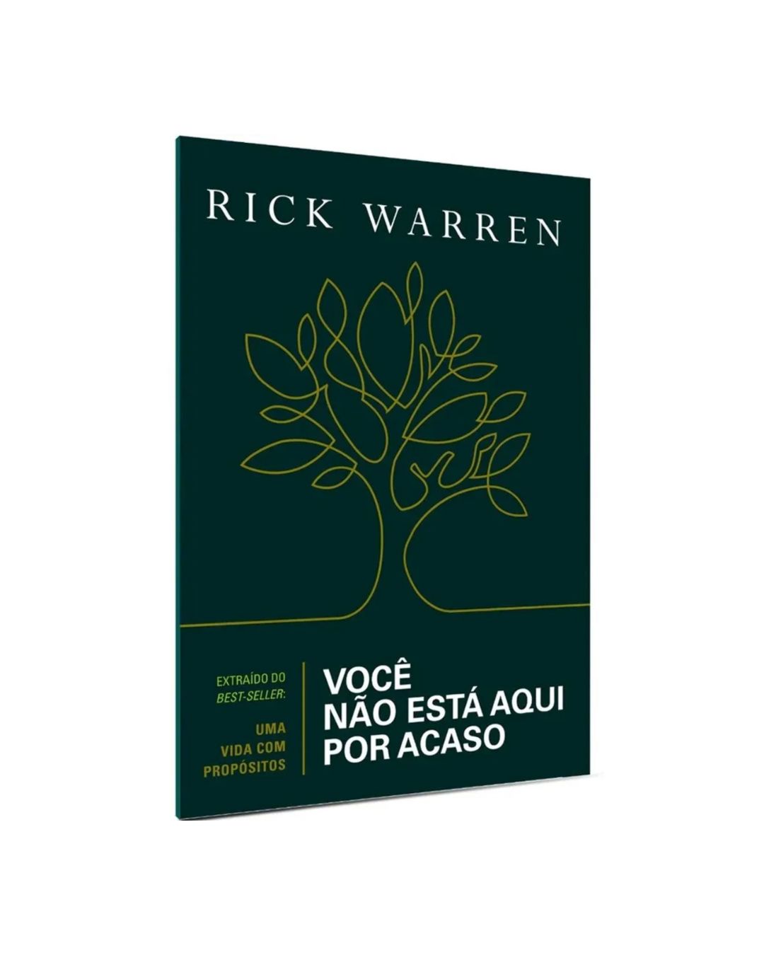 Você Não Está Aqui Por Acaso | Rick Warren
