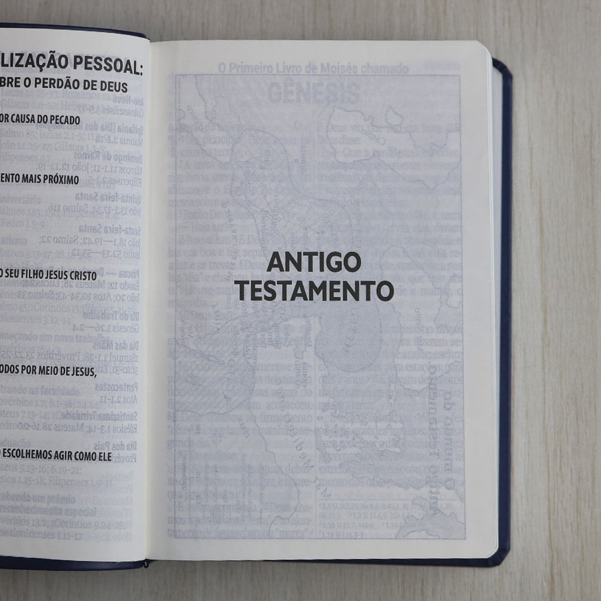 Holy Bible | Super Giant Print | NAA | Blue and Pink Luxury Cover