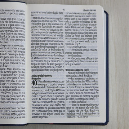 Holy Bible | Super Giant Print | NAA | Blue and Pink Luxury Cover