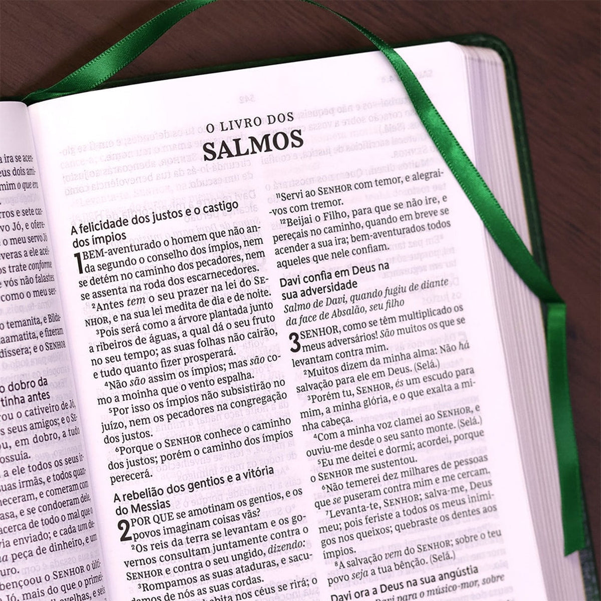 Holy Bible | ACF | Perfect Reading | Green Soft Leather Cover