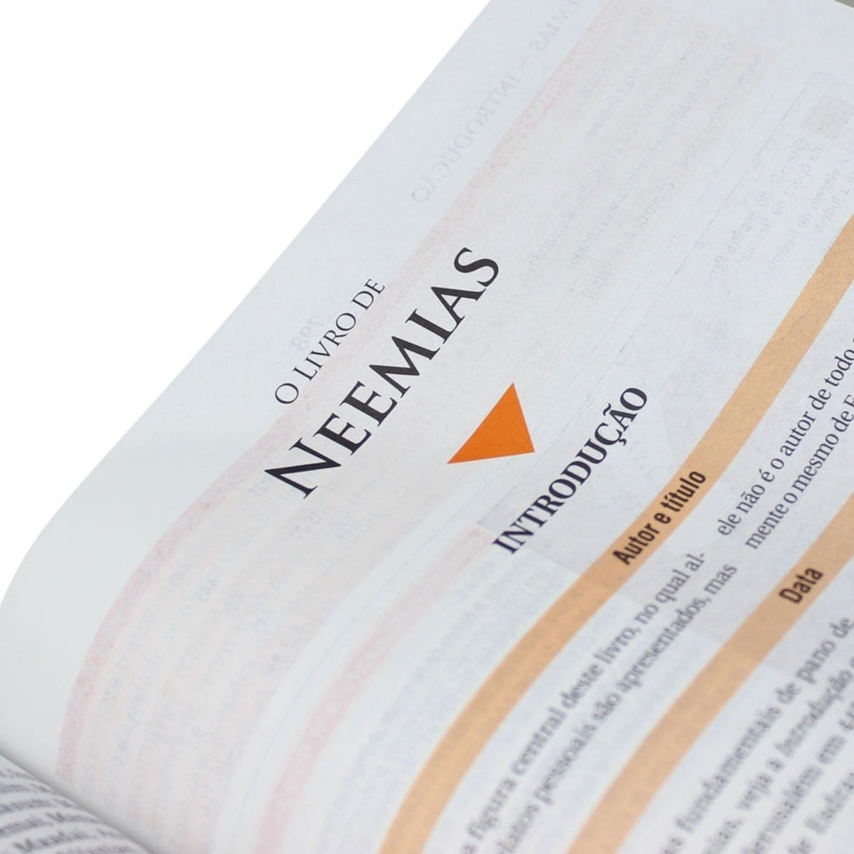 Lyrical Study Bible | NAA | Regular Print | Linen Flexible Cover