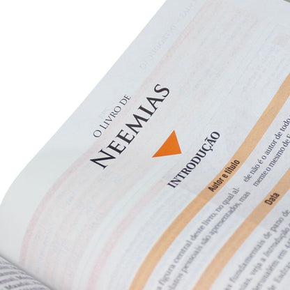 Lyrical Study Bible | NAA | Regular Print | Linen Flexible Cover