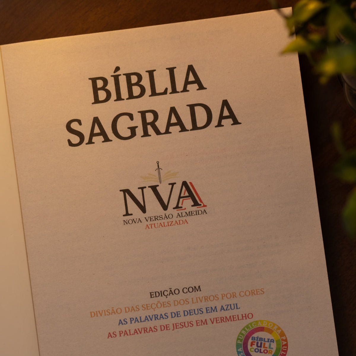 Holy Bible Jesus and the Children | NVA | Full Color | Paperback
