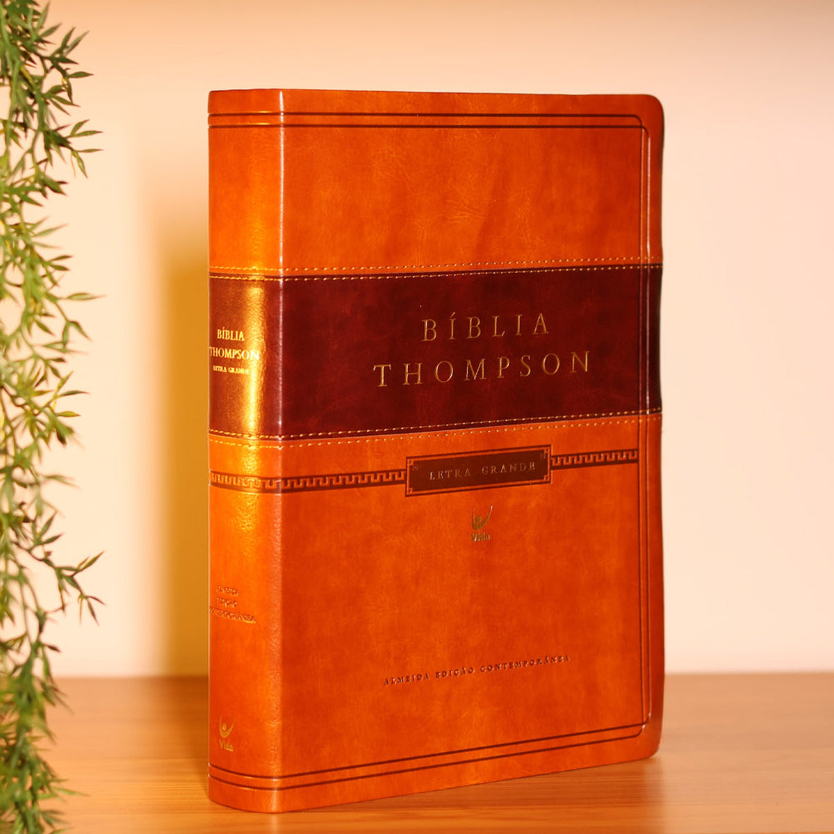 Thompson Study Bible | AEC | Large Print | Brown Luxury Cover with Index