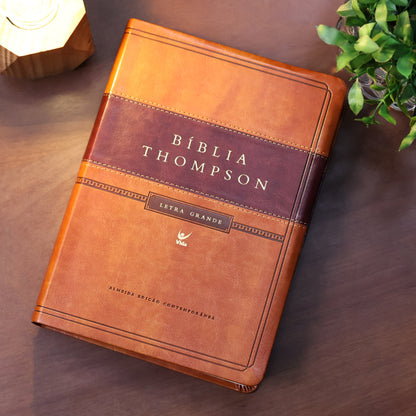 Thompson Study Bible | AEC | Large Print | Brown Luxury Cover with Index