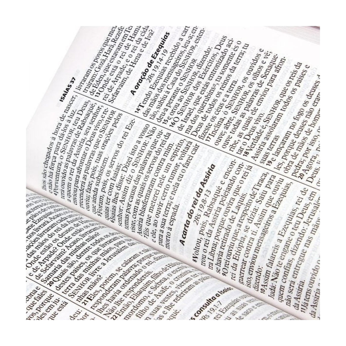 Bíblia Sagrada | Letra Gigante | ARA | Capa Couro Pink / Zíper | c/ Índice