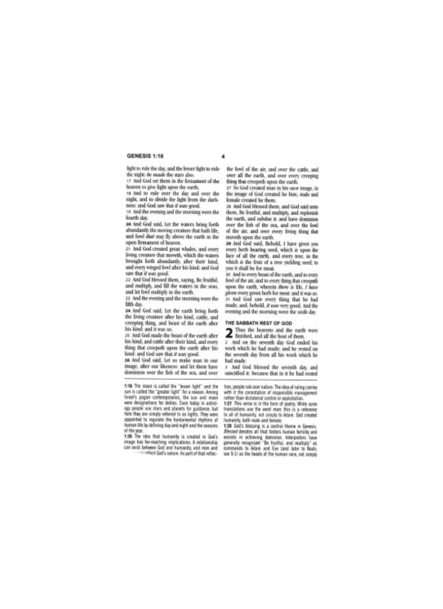 KJV Study Bible - Large Print | Violet Floret
