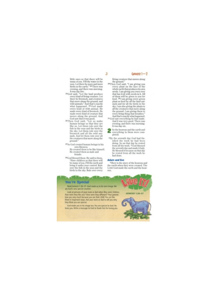 NIrV Adventure Bible for Early Readers | Hardcover, Jacketed